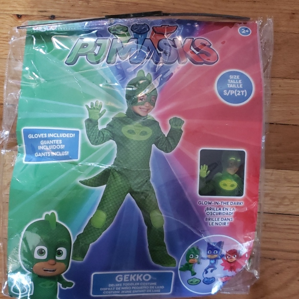 PJ masks costume